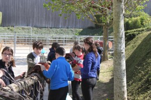 Nettoyage des cuirs